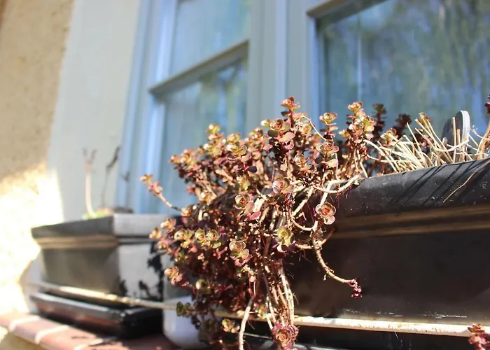 Rosmarin Lägenhet Oschersleben